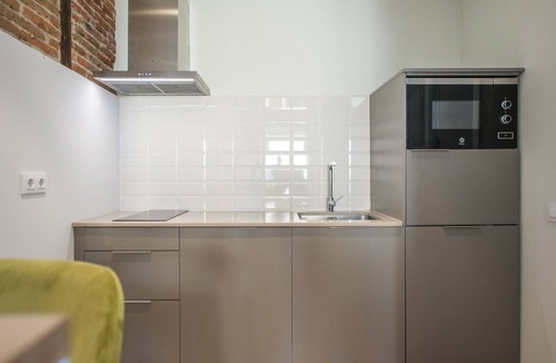 Las Acacias Apartment | Collection La Latina - Studio with terrace in La Latina neighbourhood