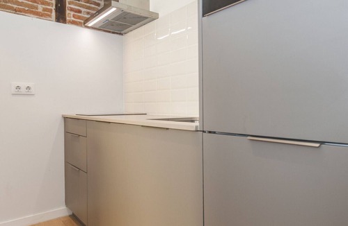 Las Acacias Apartment | Collection La Latina - Studio with terrace in La Latina neighbourhood