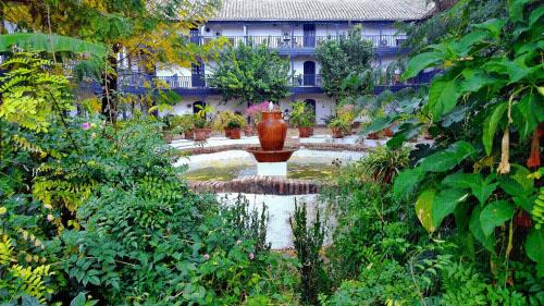 Santa Catalina Apartment | Corral del Conde
