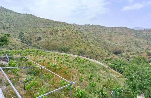 Rubite Villa | Cortijo Grande