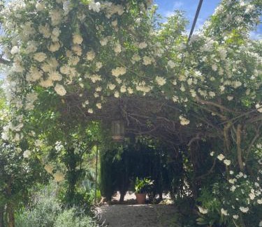 Villanueva del Rosario Bed & Breakfast | Cortijo La Serena