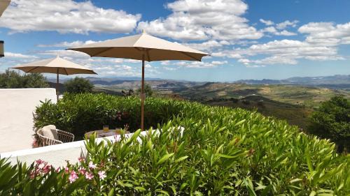 Casarabonela Bed & Breakfast | Cortijo la Pura Boutique B&B