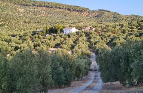 Alcaudete House | Cortijo Las Rodrigas