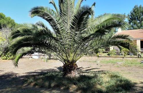 Lucena del Puerto House | Cortijo los Conquistadores Vakantiehuis
