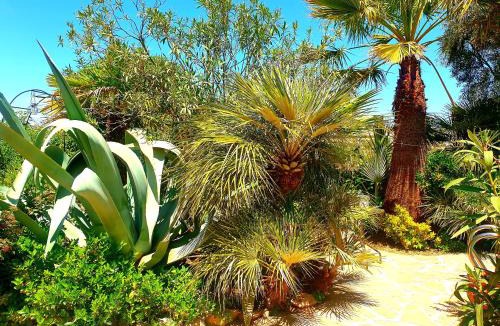 Cullar House | Cortijo Paraiso Pool & Tropical Garden Oasis