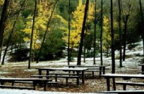 El Burgo Cottage | Country holiday home - Serrania de Ronda