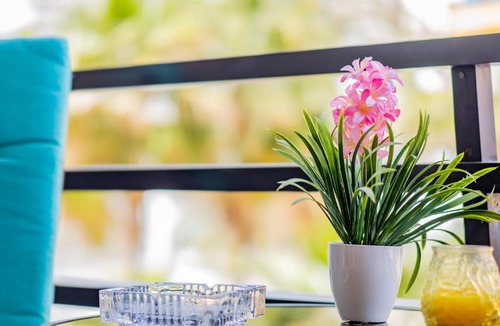 Torremolinos Apartment | Cubo's Apartamento Perla del Sol Rosa