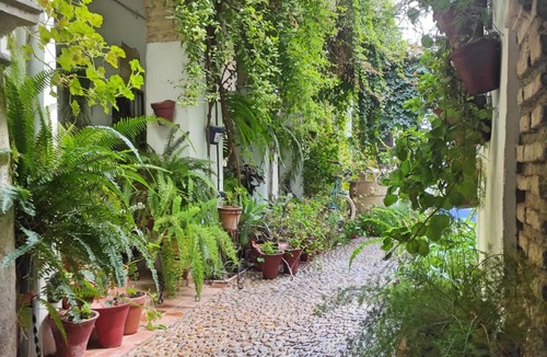 La Catedral Apartment | Dama de Noche Apartament