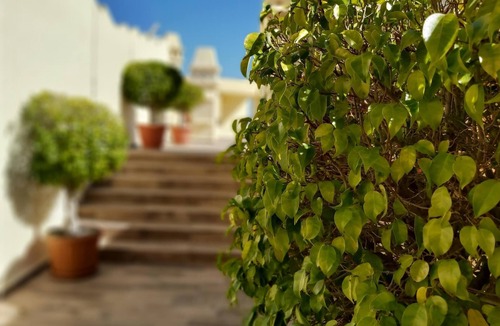 Benalmadena Costa Apartment | Del Parque Flats - Puerto Marina Island