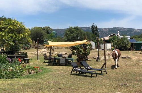 Tarifa Other | Eco Spirit