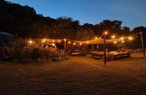 Tarifa Other | Eco Spirit