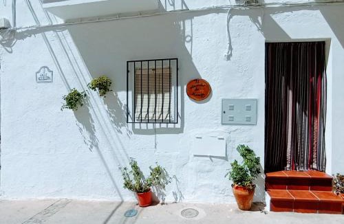 Torviscon Apartment | El almendro de Maruja