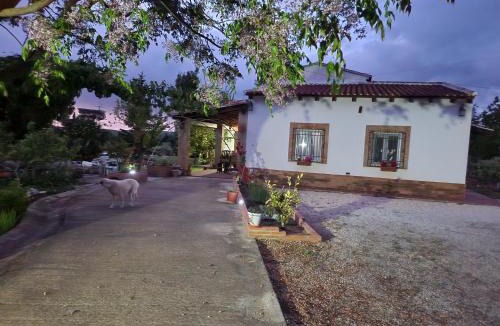 Arriate Apartment | El Baco