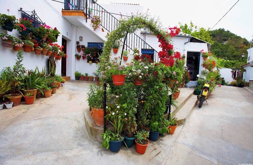El Bosque House | El Bosque Rural House