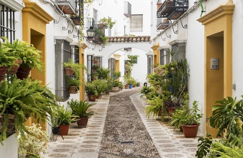 Ciudad Jardin Apartment | El Califa Apartment - 2 Rooms ⭐