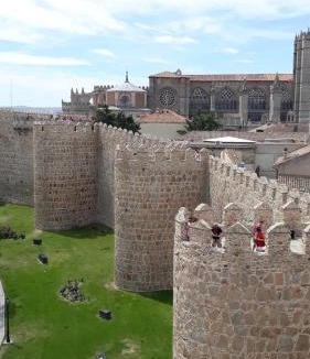 Avila Apartment | El Cedro Llorón