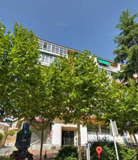Avila Apartment | El Cedro Llorón