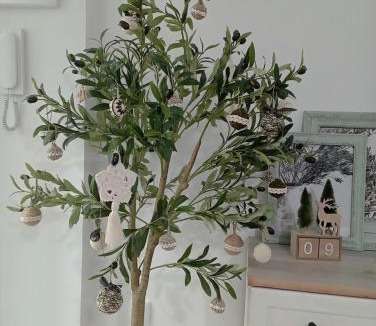Jaen Apartment | El Olivo Verde