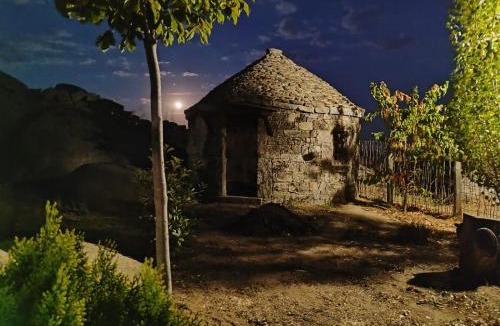 Munopepe House | Entre las Piedras y musgo