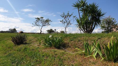 Oliva de Plasencia House | Finca la Carb0nera
