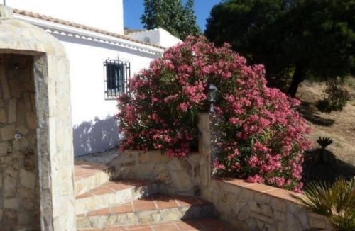 Competa House | Finca "La Estrella de Cómpeta". by Interhome