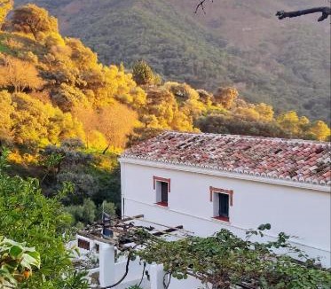 Jubrique House | Finca Riolavar