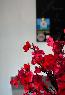 Pujaire Apartment | Flamingos view apartment in Cabo de Gata