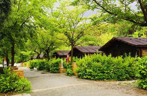 Pinos Genil Other | Fuente del Lobo Glamping & Bungalows - Adults Only