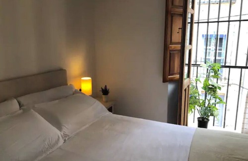 San Ildefonso Apartment | Full Apartment Downtown - Arco de Elvira