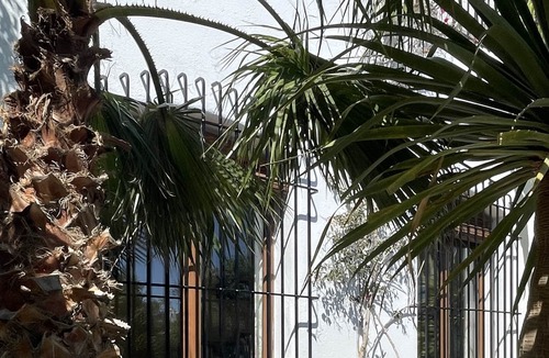 Las Negras Apartment | Garden ground floor studio in La Washingtonia