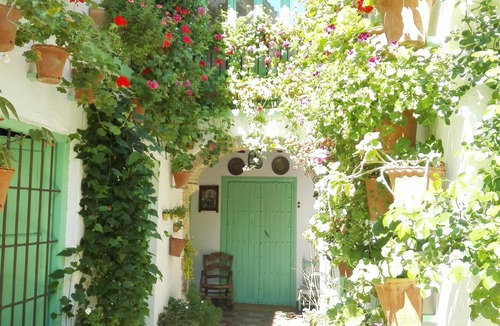 San Basilio Apartment | Green Apartment Ensuite with Shower-Balcony