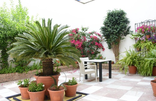 Distrito Centro Apartment | Ground-floor apartment (2 people)