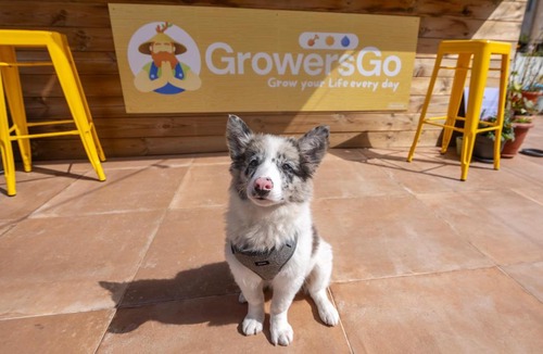 Huelva Hotel | Growers Boutique Huelva