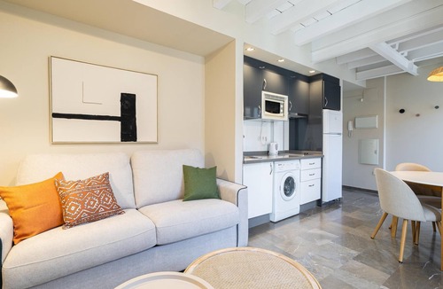 Central District Apartment | H2Granada old historic Solarium Terrace & Parking