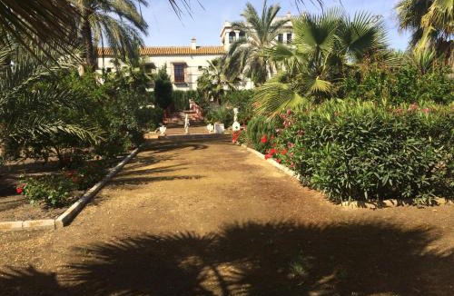 Carmona Hotel | Hacienda Los Jinetes