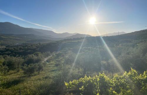 Riogordo Bed & Breakfast | Hacienda Riogordo
