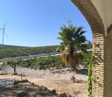 Jerez de la Frontera House | Hacienda Vinum Solis