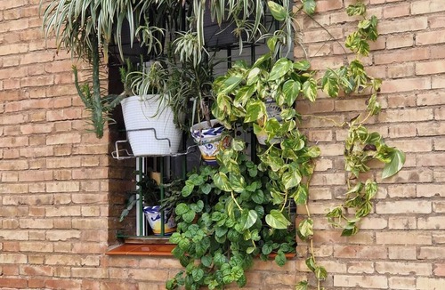 La Palmera-Reina Mercedes Apartment | Homerez - Apartment in Seville