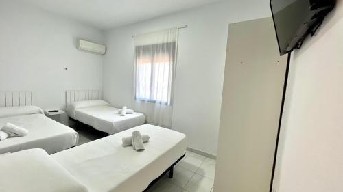 Aldea Quintana House | Hostal Carlos III