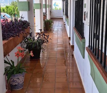 Bolonia Hotel | Hotel Apolo XI