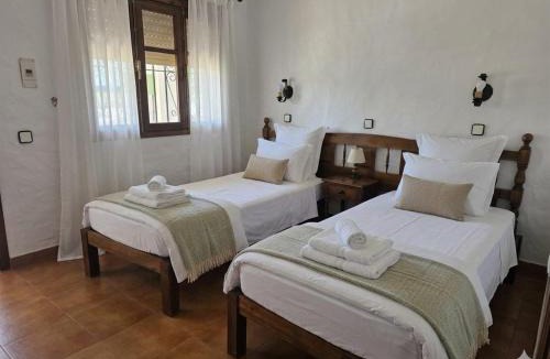 Bolonia Hotel | Hotel Apolo XI