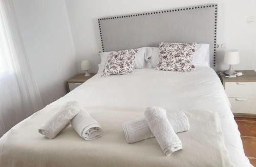 Tozar House | House of flowers