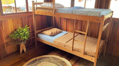 Belem Hostel | Jambu Hostel Combu