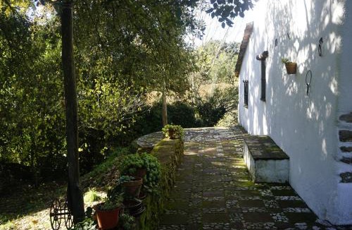 Fuenteheridos Ski Chalet | Jardín natural