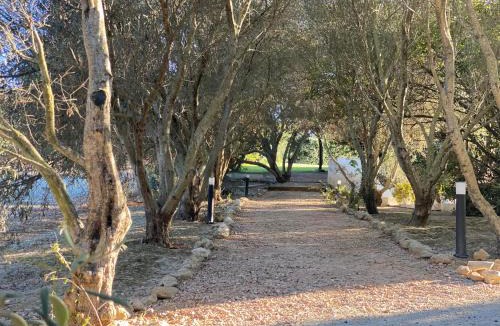 Jerez de la Frontera Hotel | La Carreña