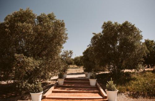 Jerez de la Frontera Hotel | La Carreña