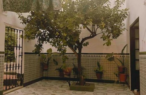 Baena House | La Casa de Manolita