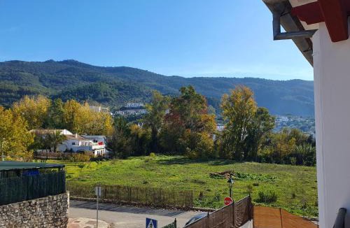 El Bosque House | La Casa del Bosque