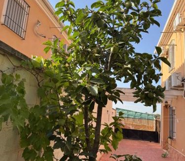 Humilladero House | La Casita de Blanca