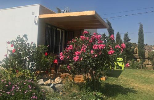 El Lentiscal Apartment | La Casita de Laura